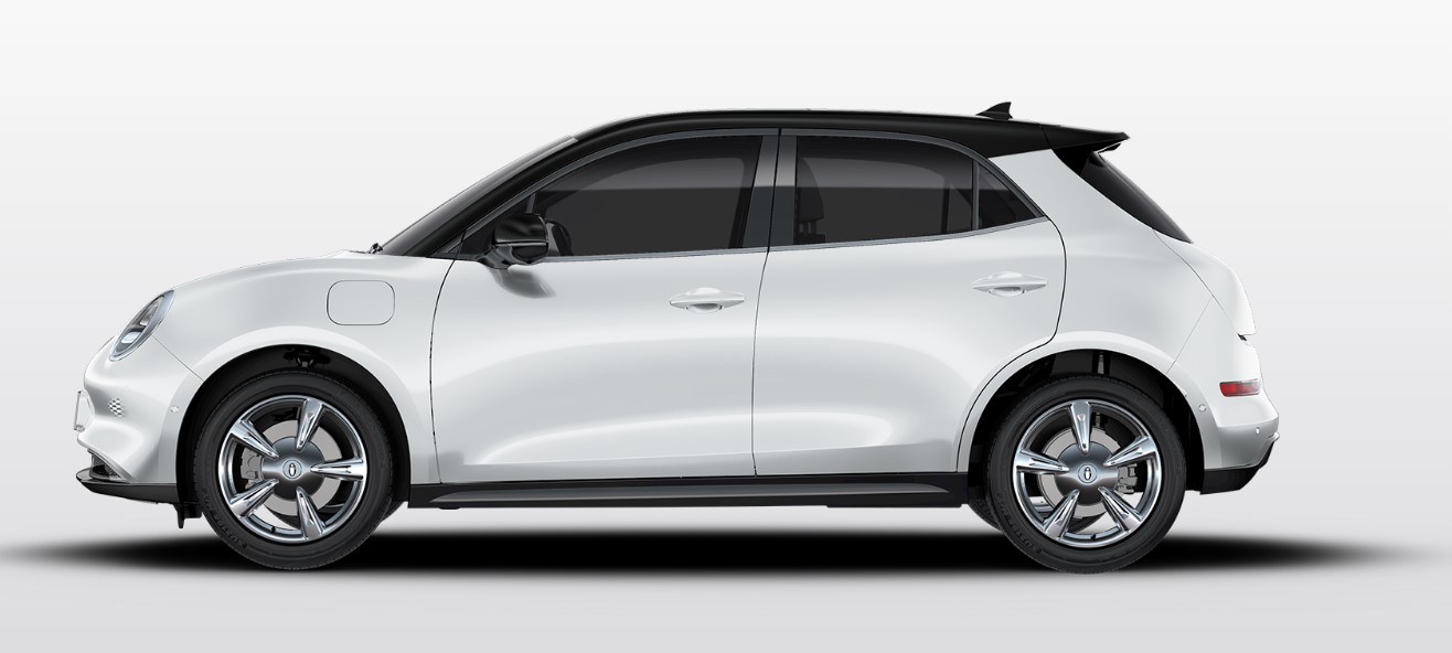 Great Wall Motors Australia - GWM ORA 2023 recall photo 1